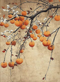 Ripe orange persimmons and white blossoms hanging from a dark winding branch on a parchment ground
