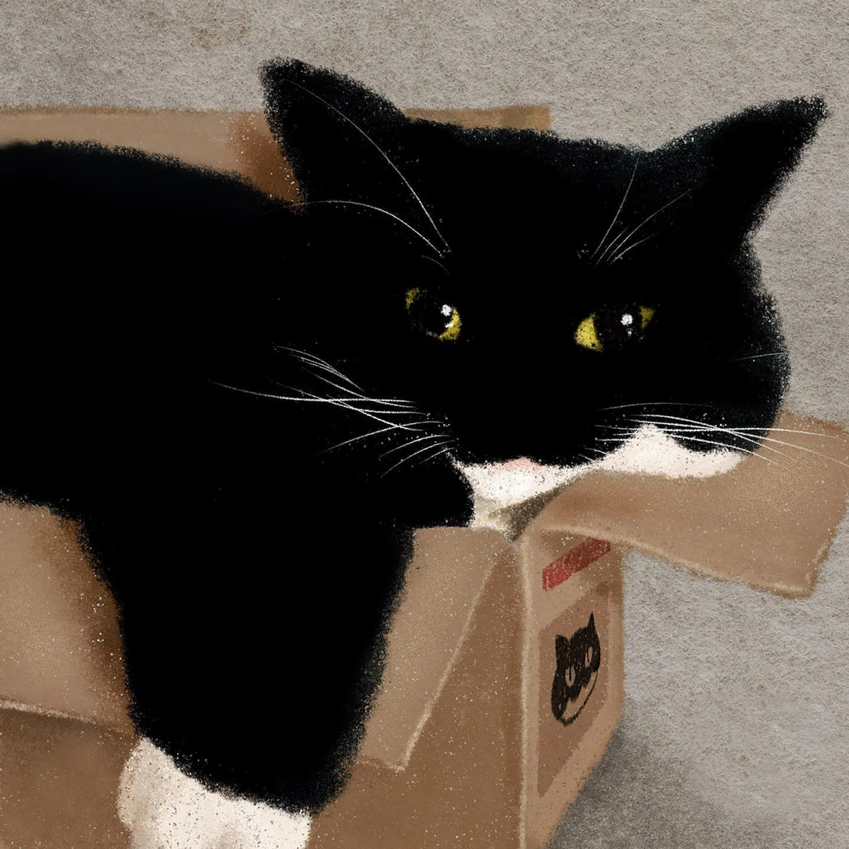 A black-and-white cat squeezed contentedly into a cardboard box, eyes glowing gold