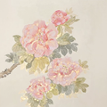 Pink peonies in bloom with a small bird perched among the leaves.