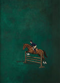 A show jumper clearing a rail fence on a deep green ground