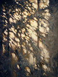 Warm light filtering through leaves onto a dark, deep-toned wall