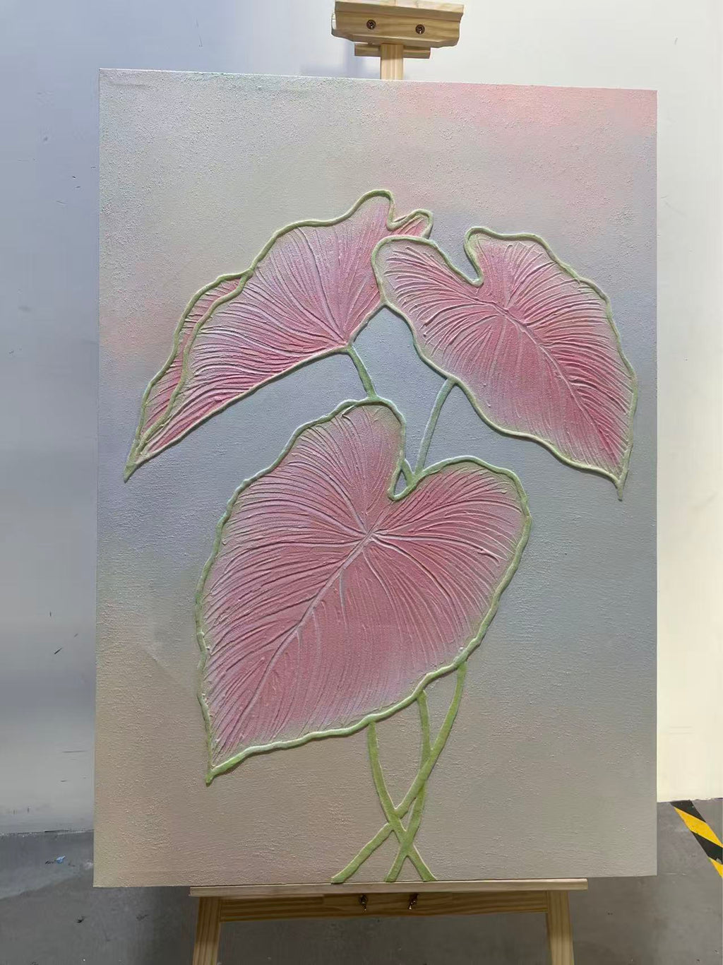 Pink Caladium