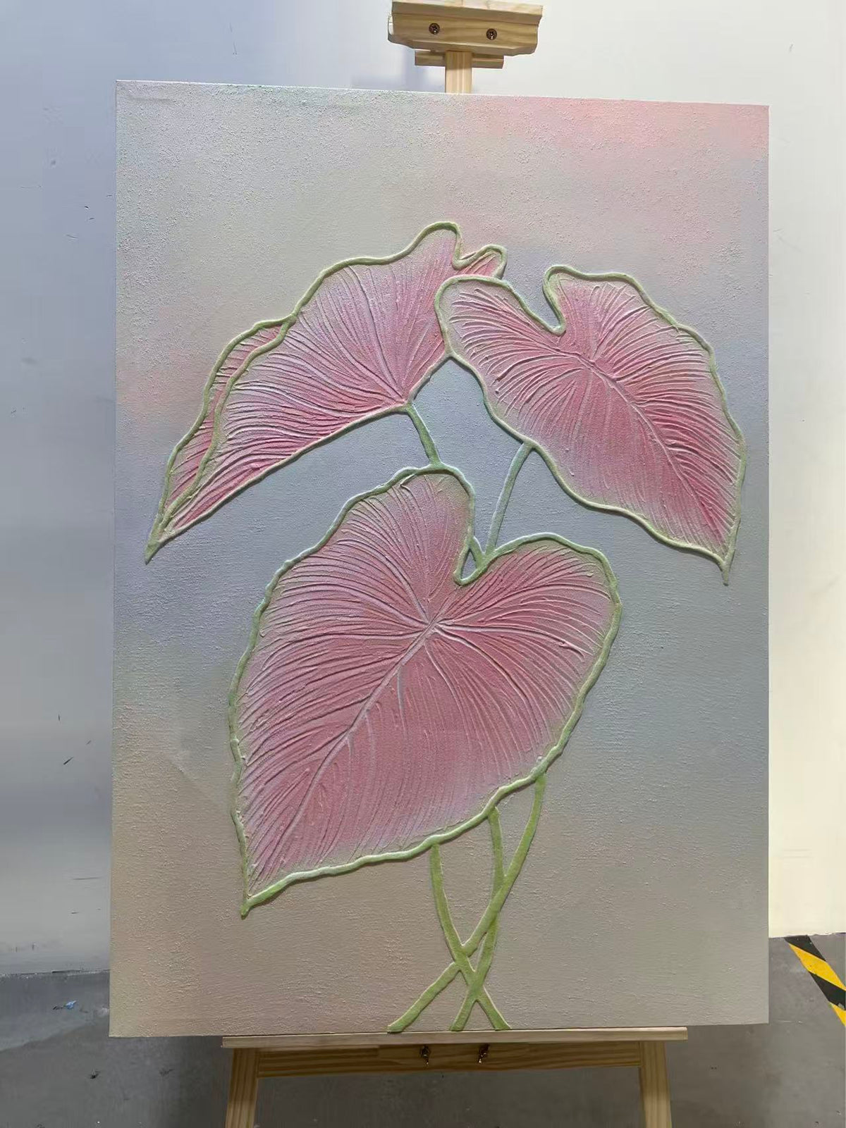 Pink Caladium