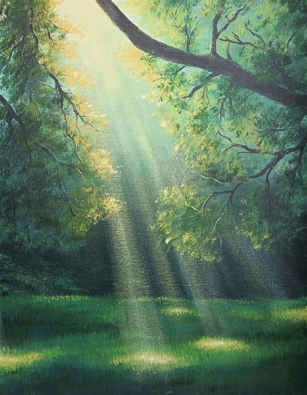 Shafts of sunlight falling through an old tree onto a quiet green glade