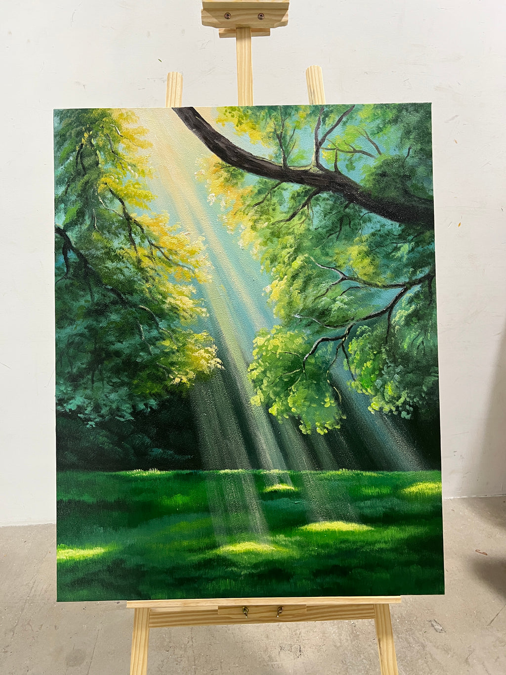 Sunbeams in the Glade
