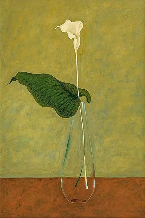 A single white calla lily and one broad leaf in a tall glass vase on an olive ground