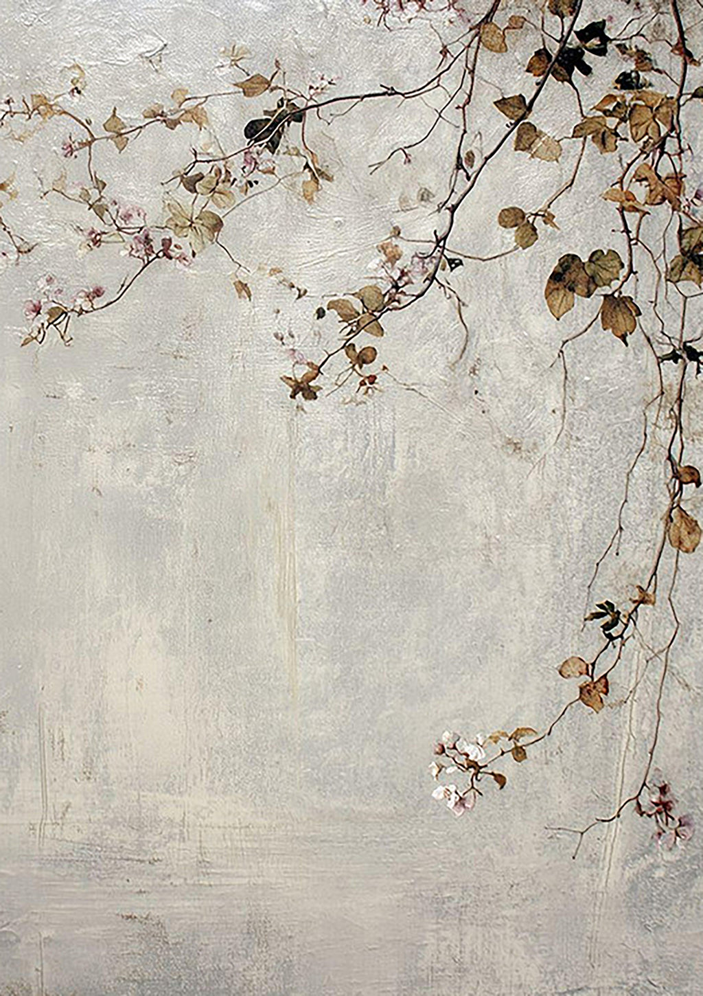 A delicate branch of small blossoms and leaves trailing over a weathered pale grey wall