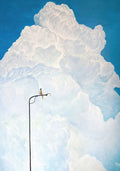 A small bird perched on a slender street lamp before a towering white cloud and blue sky