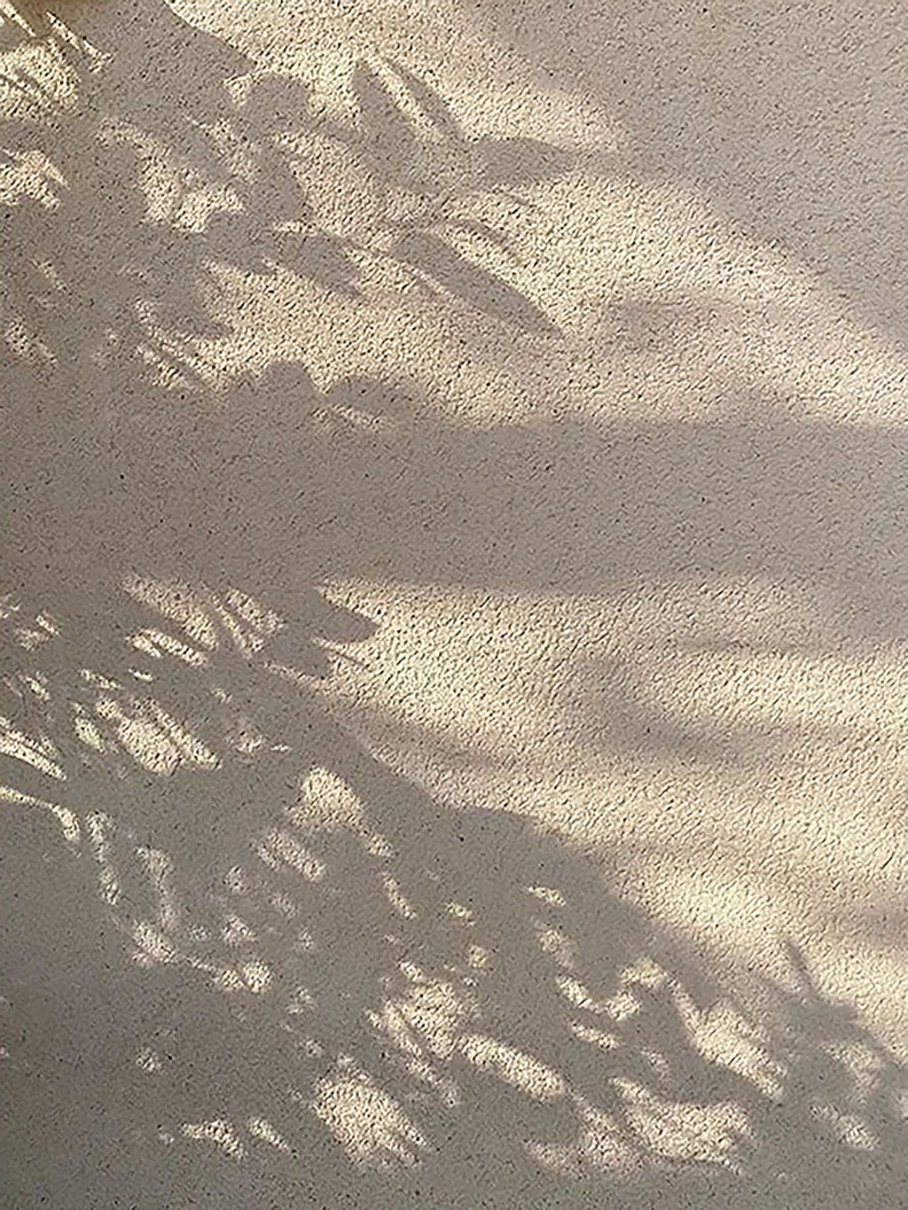 Soft afternoon light casting leafy shadows across a warm textured stucco wall