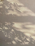 Soft afternoon light casting leafy shadows across a warm textured stucco wall