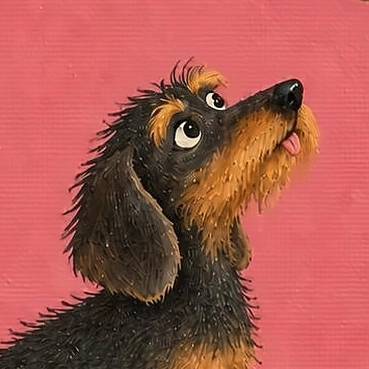 Face and wire-haired fur · actual artwork detail
